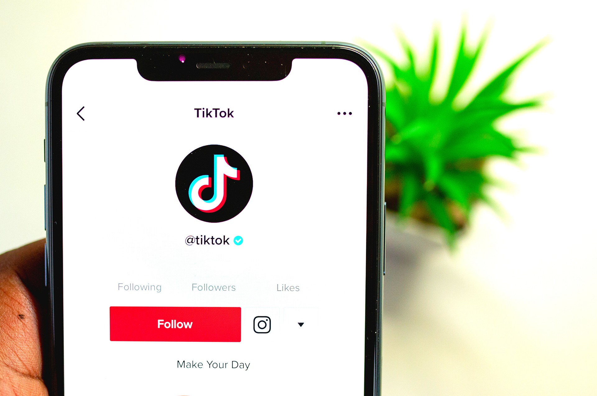 How To Quickly Grow Your Account On TikTok